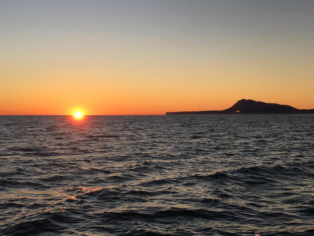 Oliva Holidays 1 Dış mekan fotoğraf
