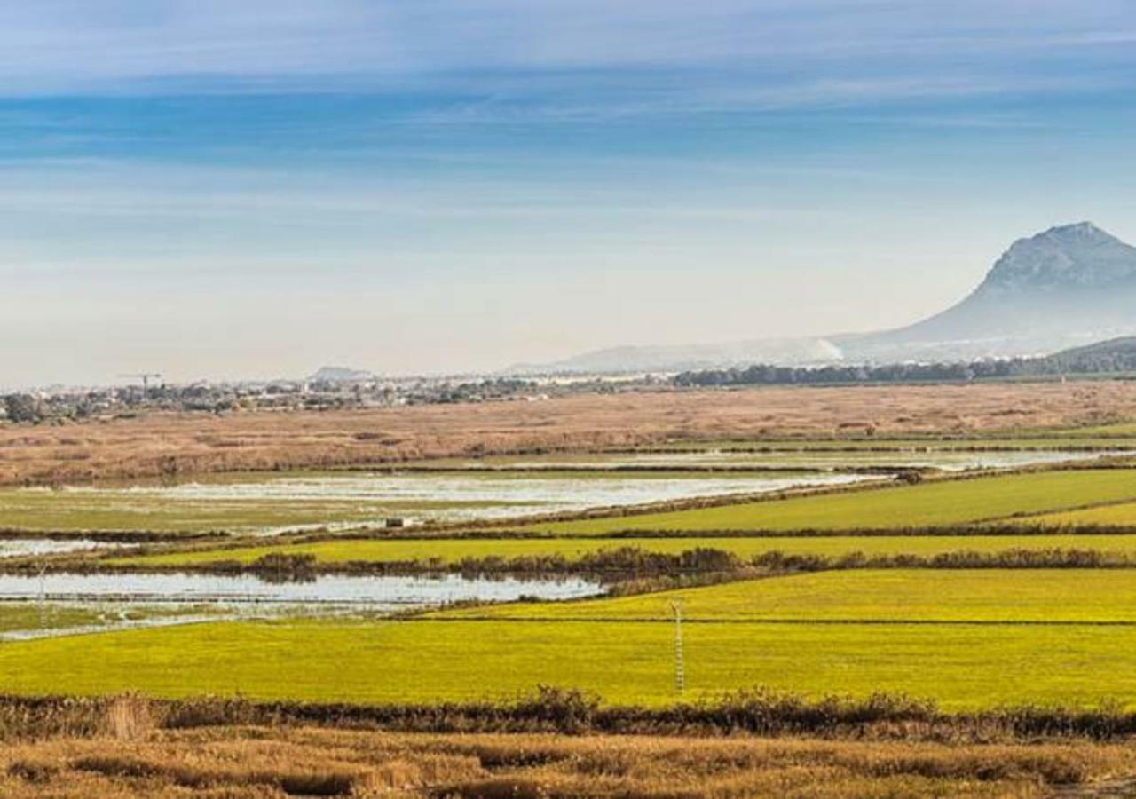 Oliva Holidays 1 Dış mekan fotoğraf