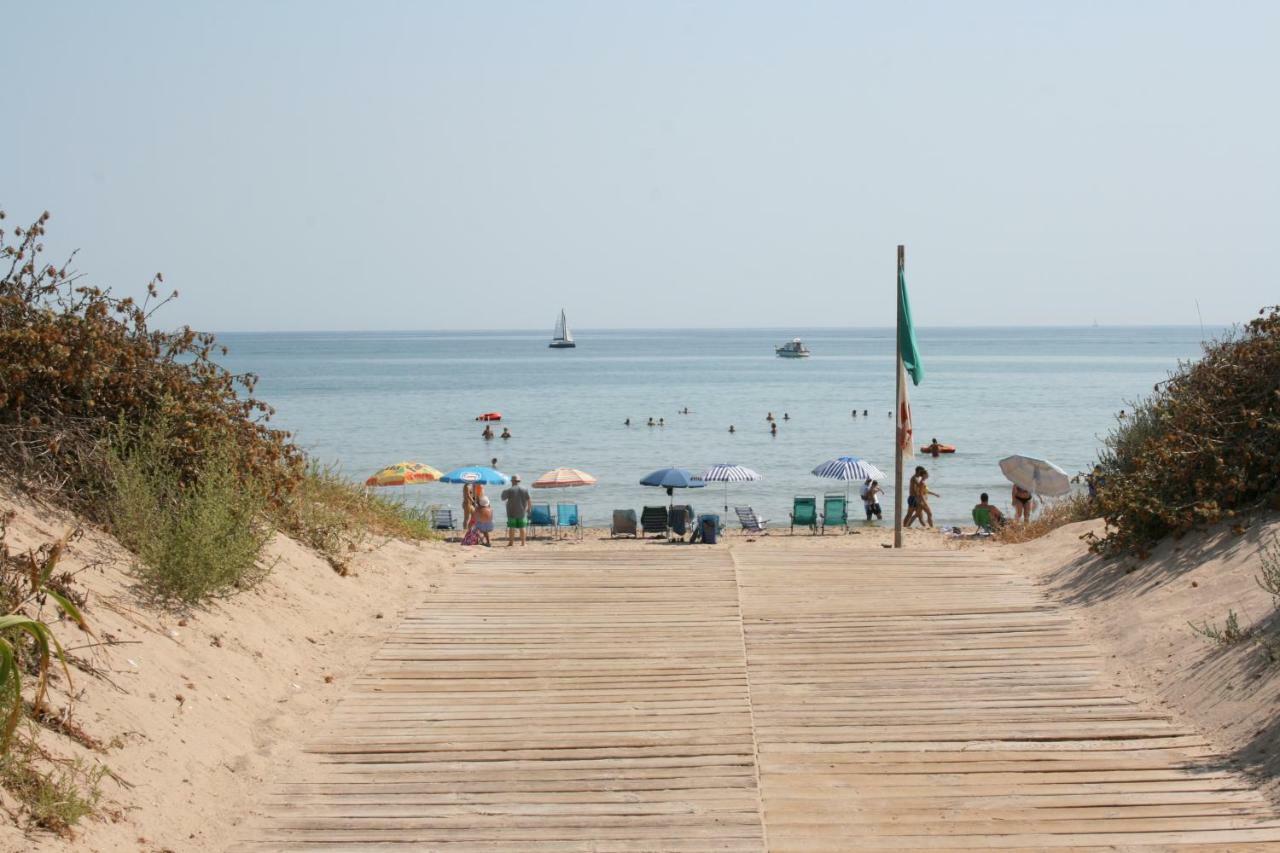Oliva Holidays 1 Dış mekan fotoğraf